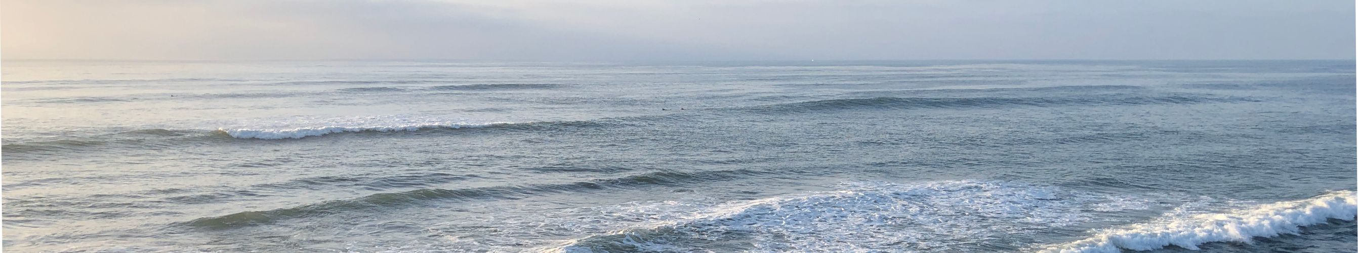 A tour of V8: Garbage Collection